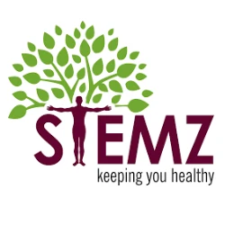 2021-04-05 12_46_52stemz.webp